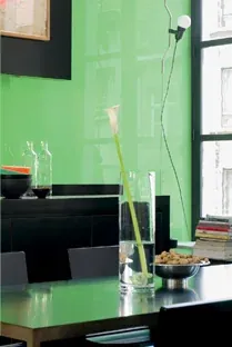 Lacobel Luminous Green 1164 NST